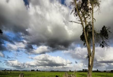 芬兰队田径选手获得接力比赛第二名：汗水换来国旗飘扬的荣耀