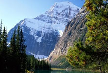 芬兰队田径选手获得接力比赛第二名：汗水换来国旗飘扬的荣耀